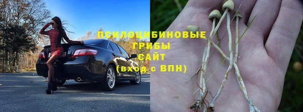 шишки Бугульма