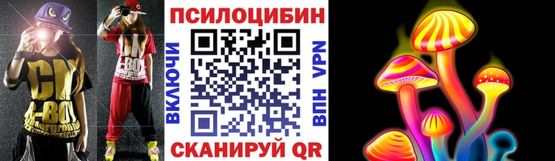 Галлюциногенные грибы Psilocybine cubensis  Можайск 
