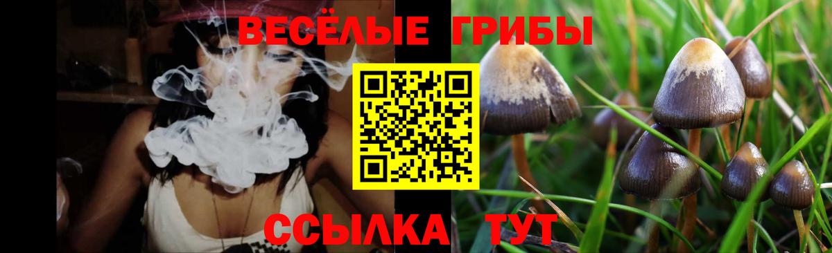 Псилоцибиновые грибы Cubensis  Вход с VPN  Можайск  Псилоцибиновые грибы мицелий 